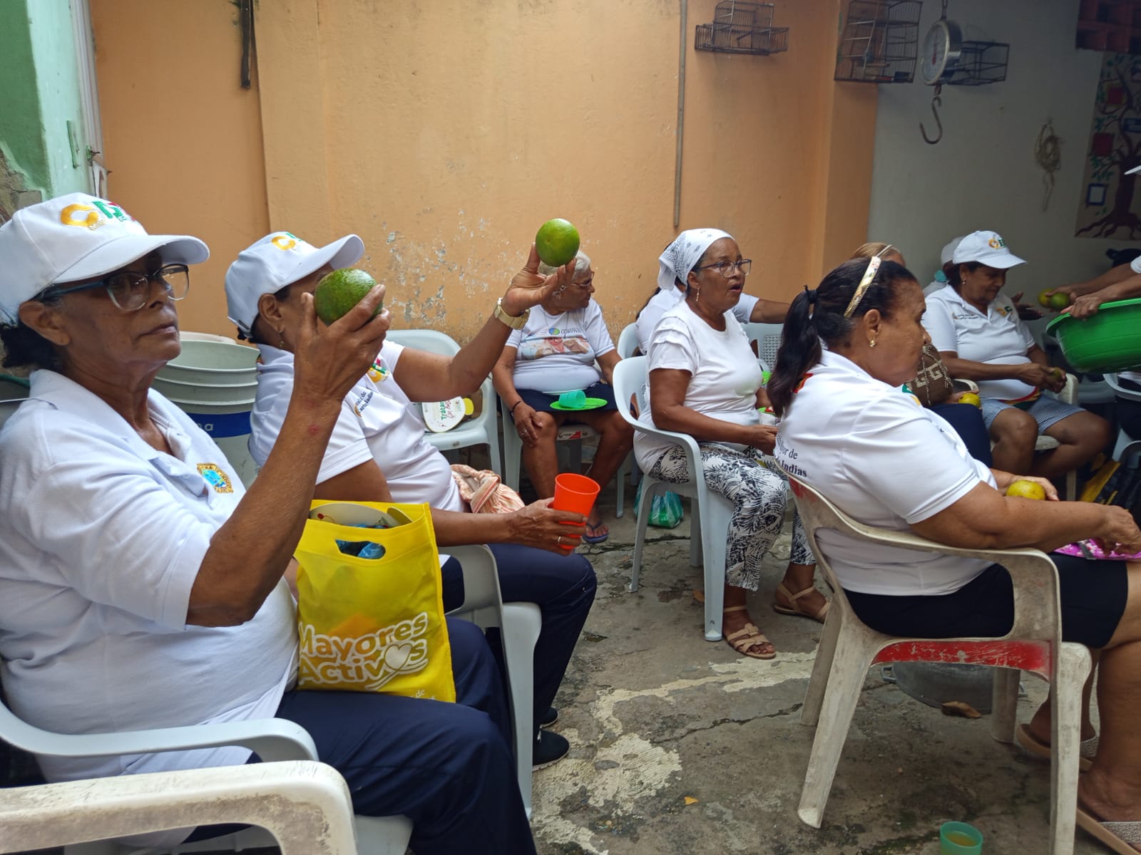 Actividad 19
