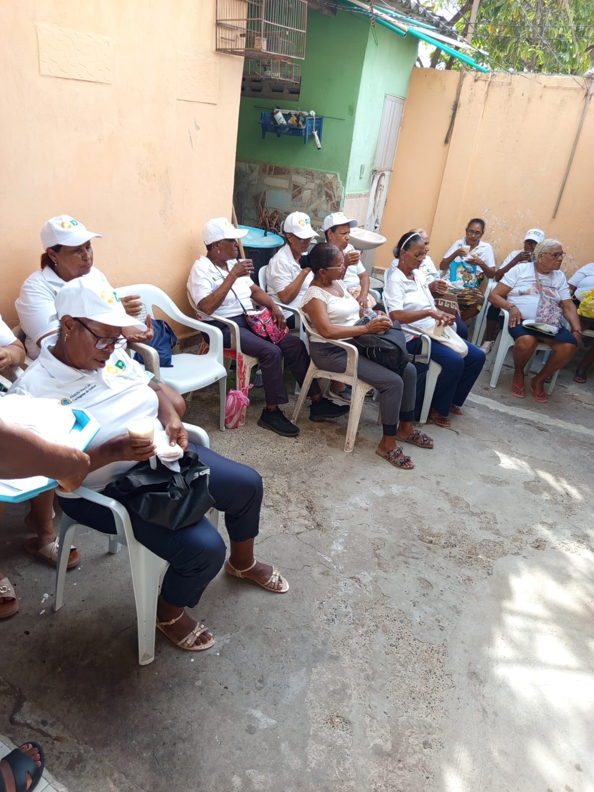 Actividad 24